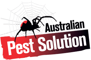 Pest Management in Port Stephens