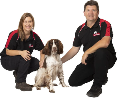 Pest Control Team — Australian Pest Solution in Port Stephens, NSW