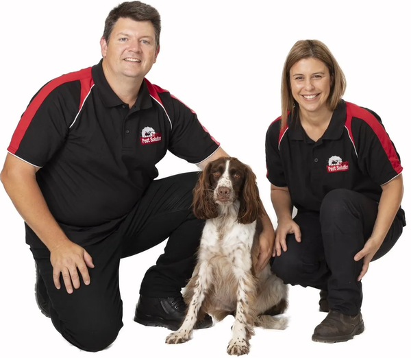 Pest Control Reliable Team — Australian Pest Solution in Port Stephens, NSW
