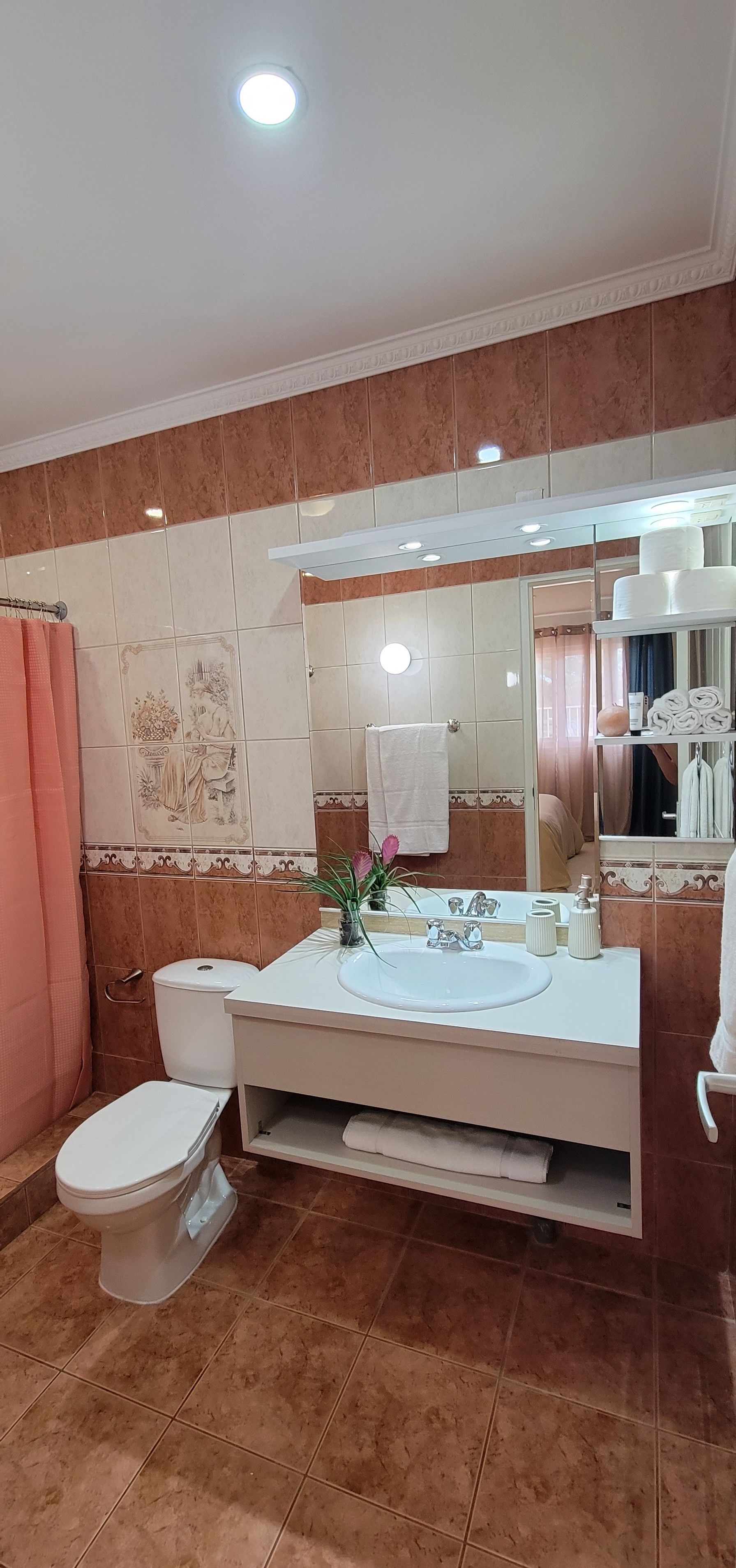 A bathroom with a toilet , sink , and mirror.