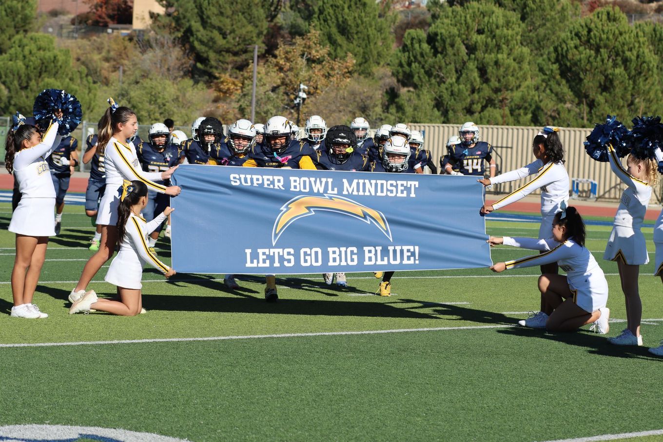 Football player in silver uniform runs with ball on a green field.