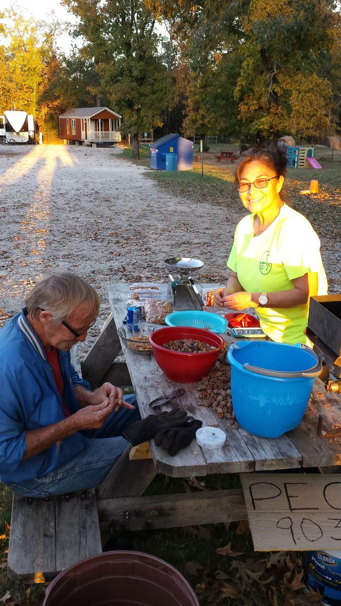 Two people shelling pecans at a picnic table, rural setting, sunny day.