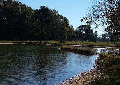 Calm lake with grassy banks, trees lining the far side under a blue sky.