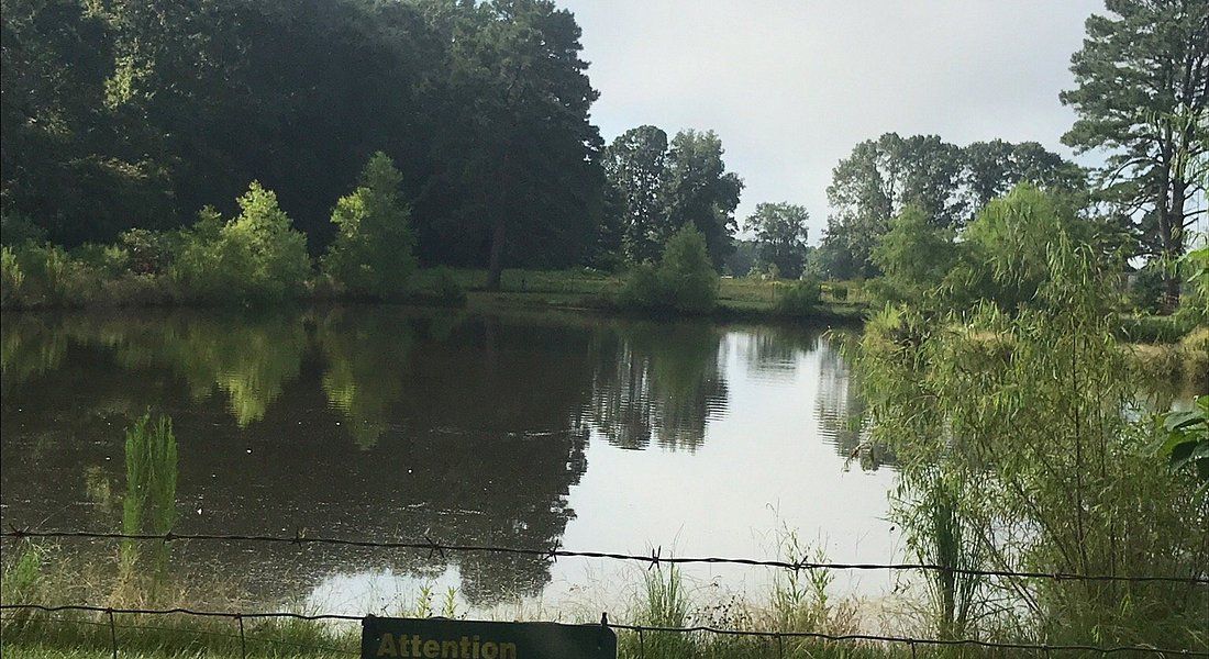A tranquil lake reflecting trees and a cloudy sky in a park setting.