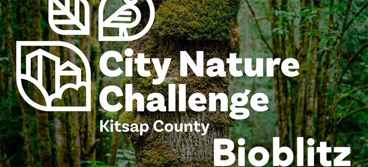 City Nature Challenge graphic
