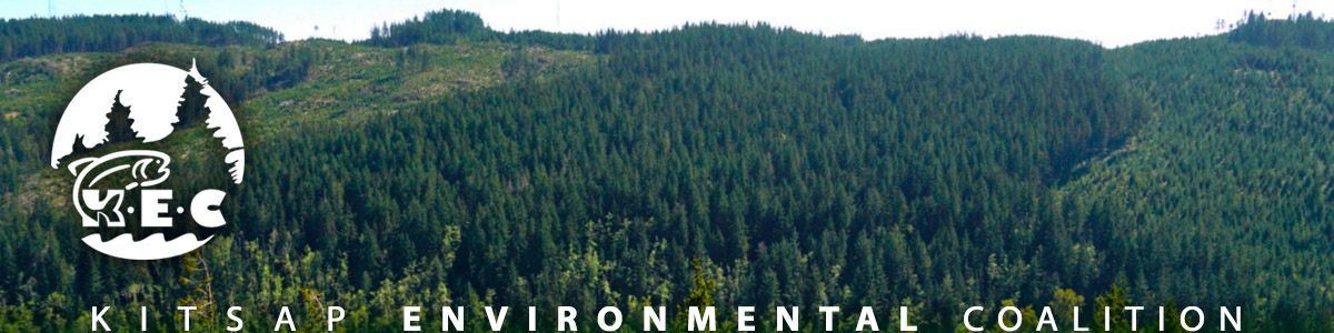 A logo for the kitsap environmental coalition with a forest in the background