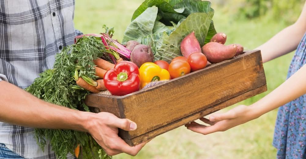 Sharing a crate of farm fresh produce
