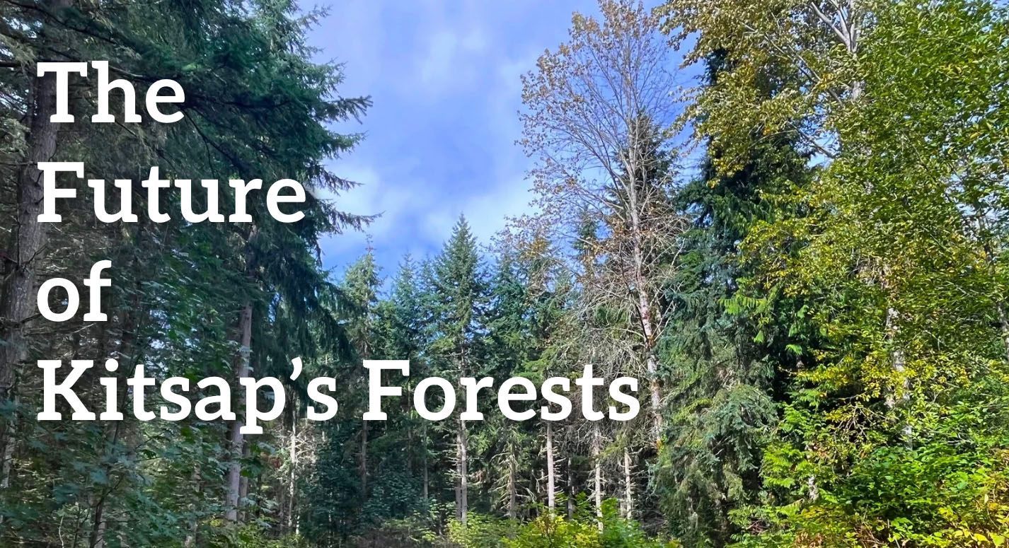 The Future of Kitsap's Forests