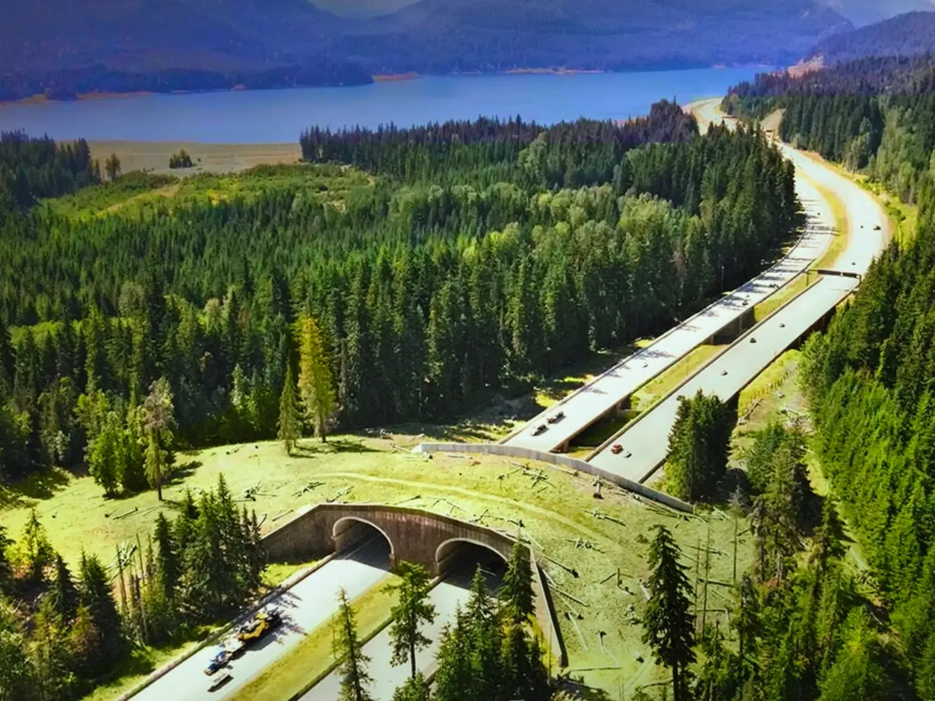 Wildlife Crossing on I-90, in Washington state