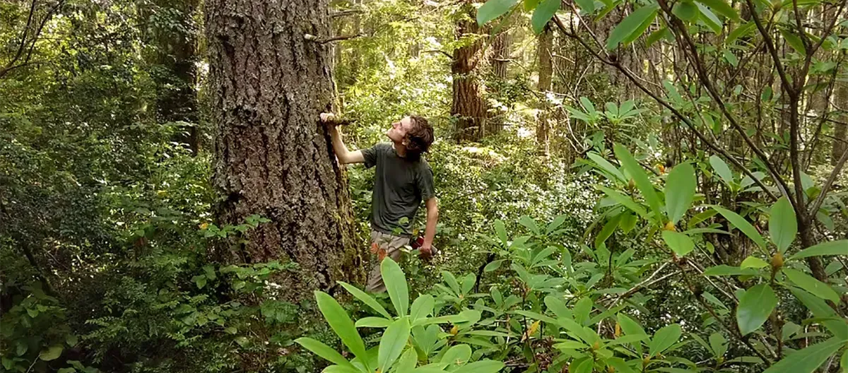 Green Mountain Summit