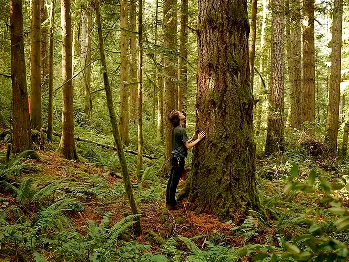 Joshua Wright in Firvana Legacy Forest on Green Mountain
