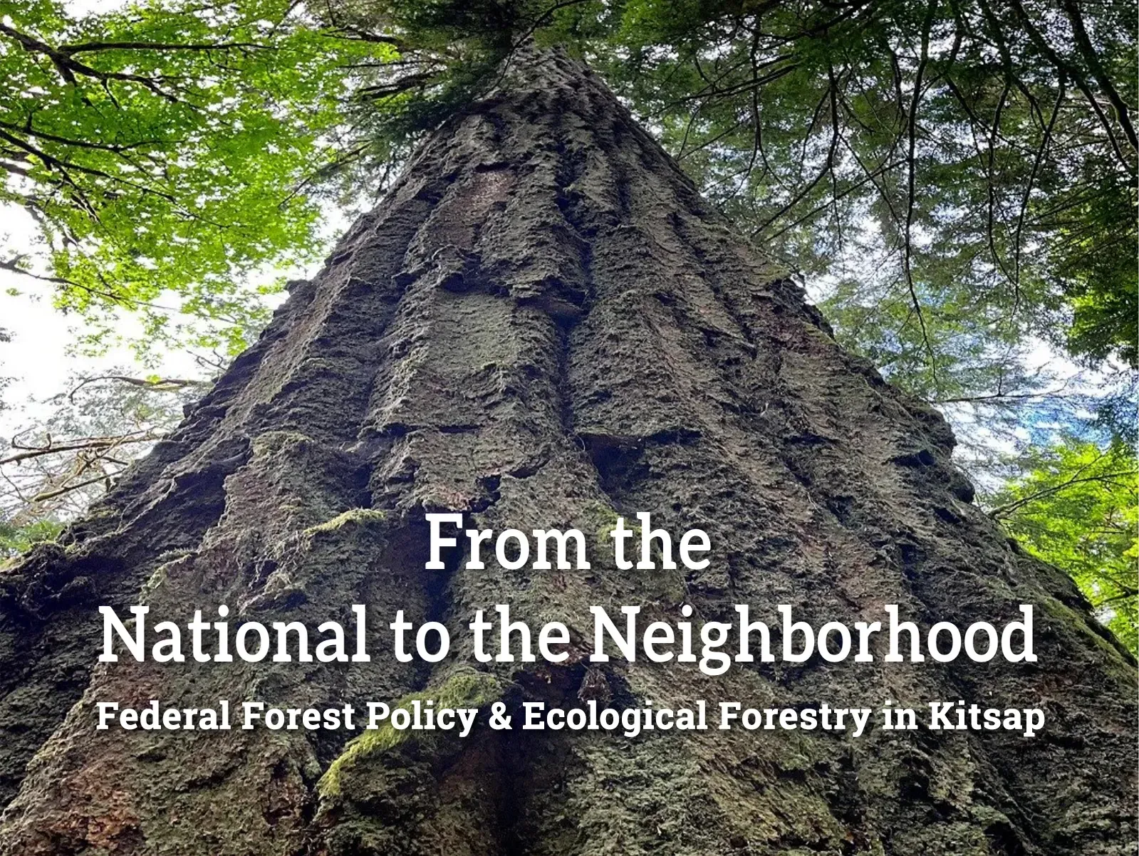 From the National to the Neighborhood title