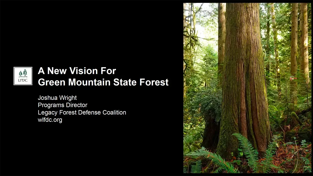 Click to download slide PDF A New Vision for Green Mountain State Forest slide presentation