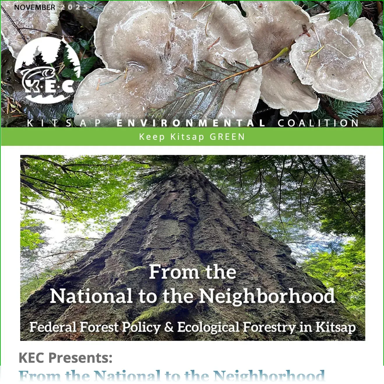 From the National to the Neighborhood