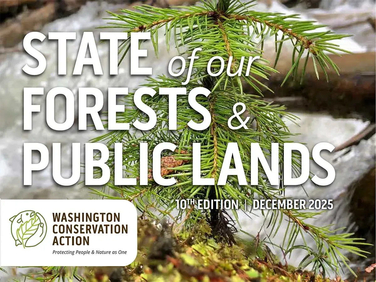 State of our Forests & Public Lands