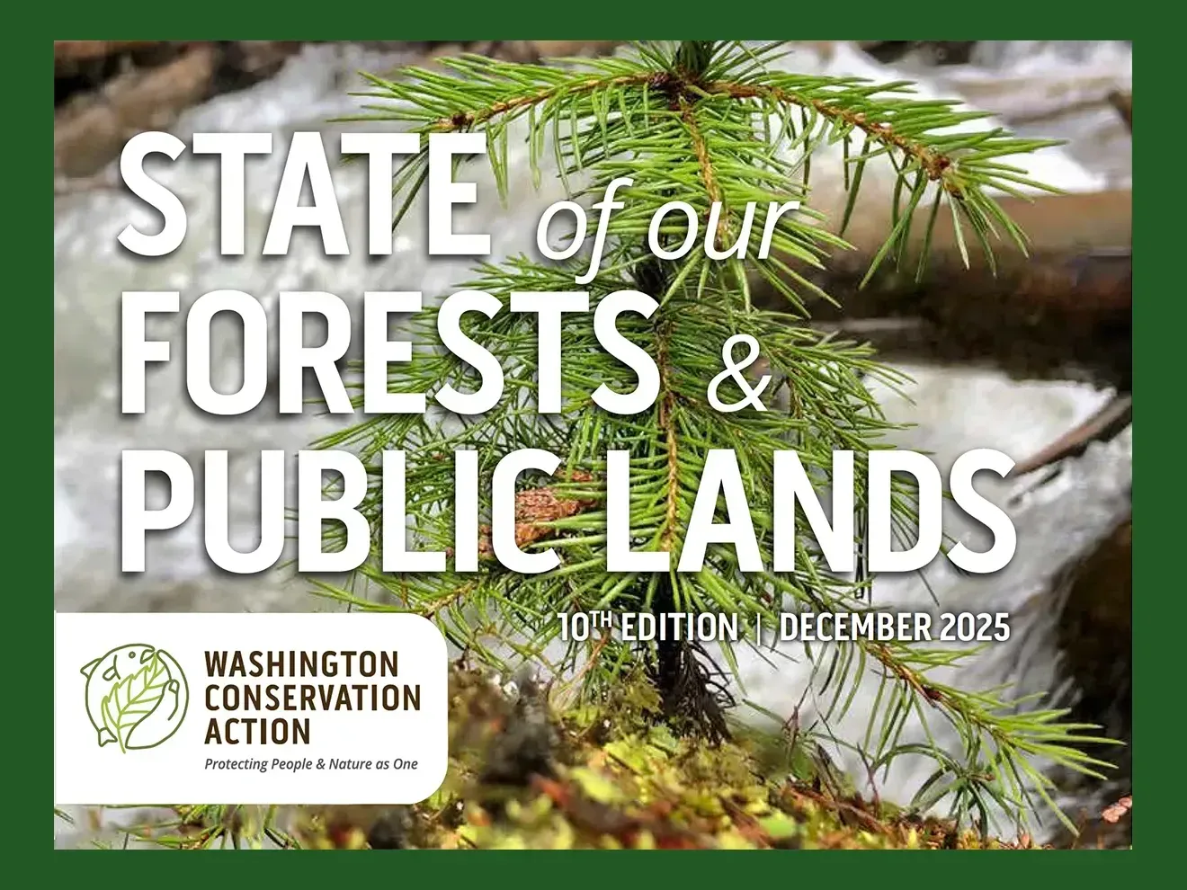 State of our Forests & Public Lands