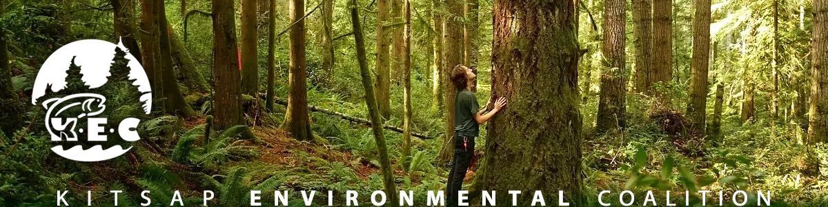 Joshua Wright standing next to a tree in Green Mountain forest.