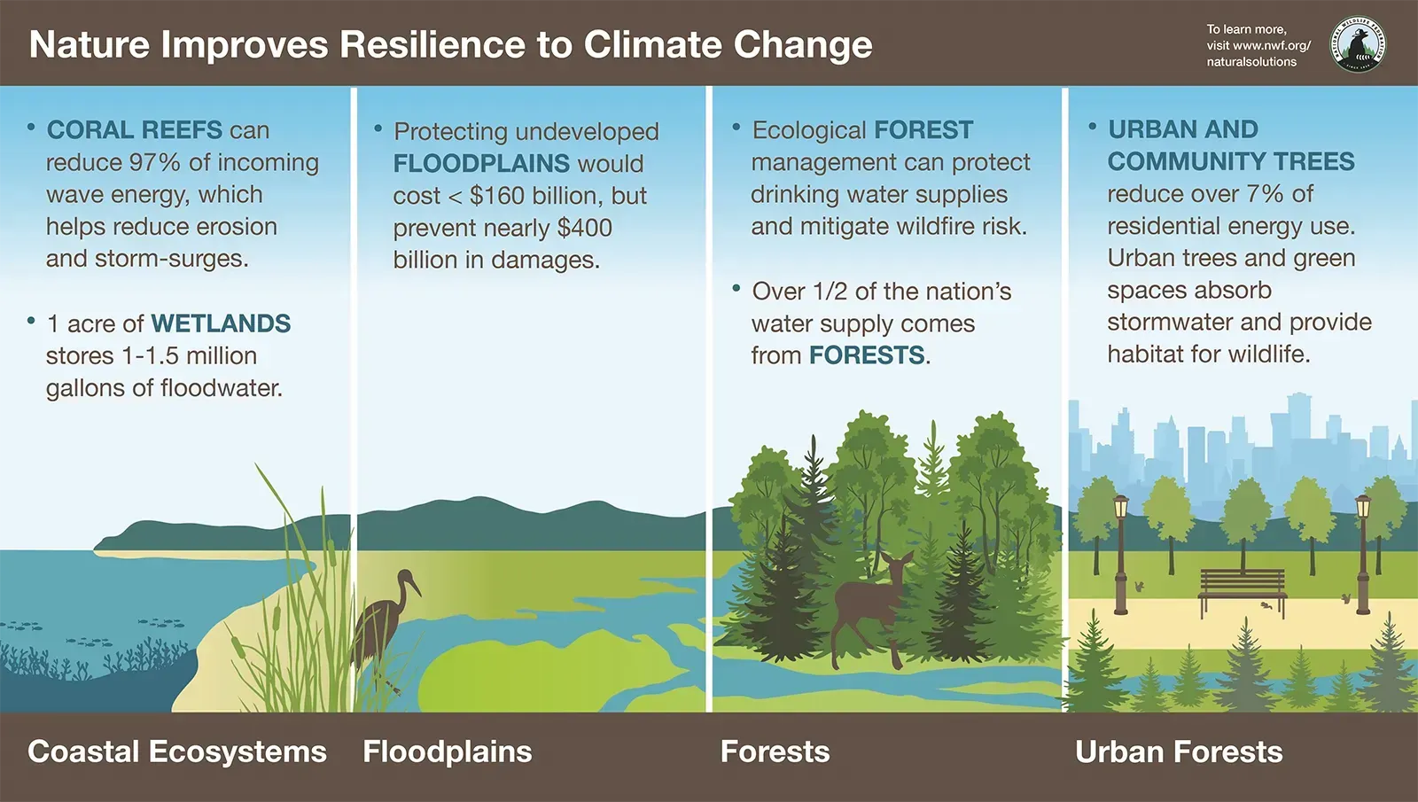 Nature Improves Resilience to Climate Change - Diagram
