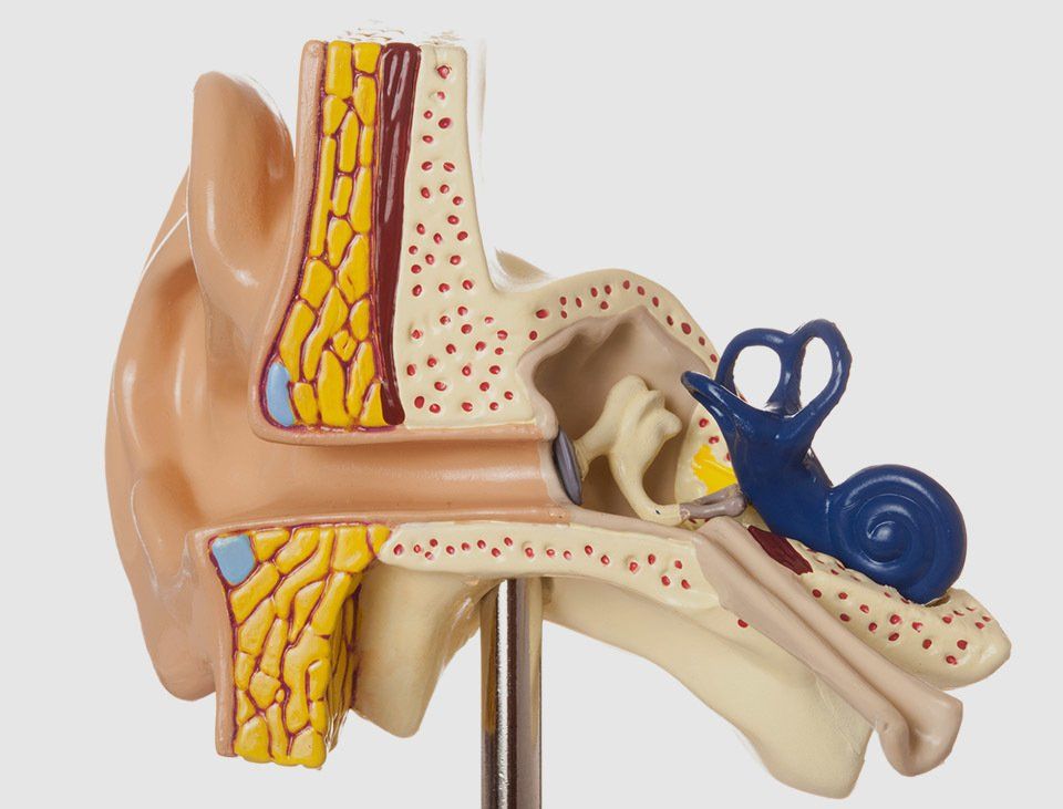 apparecchio acustico per bambina