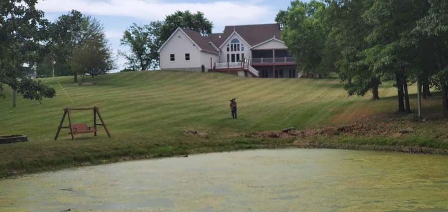 Lawn Maintenance