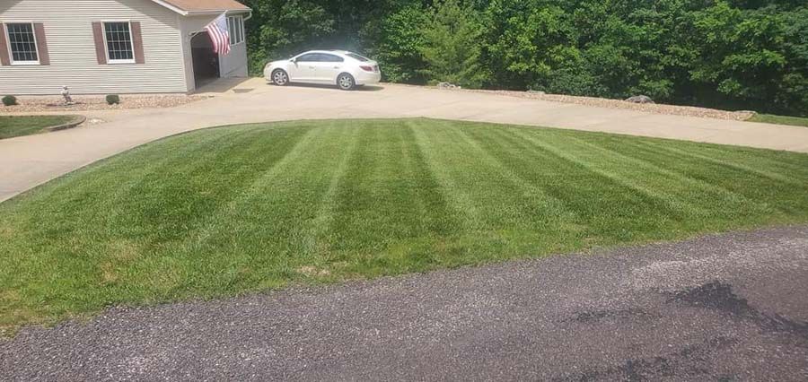 Lawn Maintenance