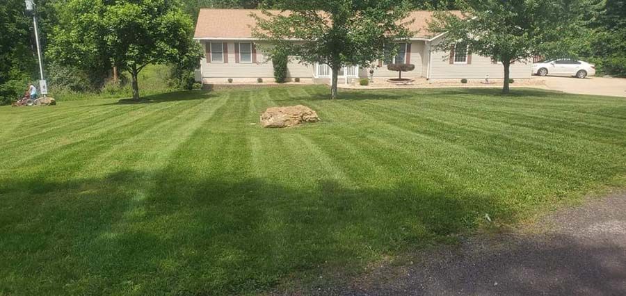 Lawn Maintenance