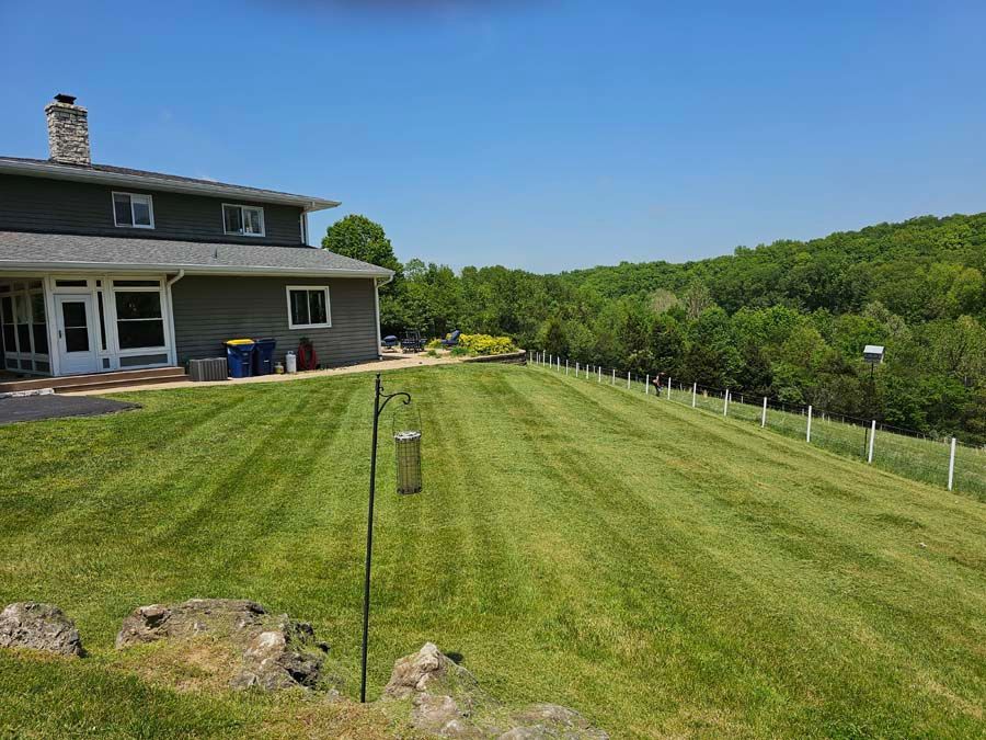 Lawn Maintenance