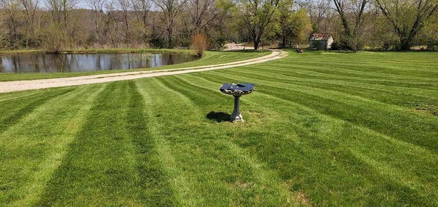 Lawn Maintenance