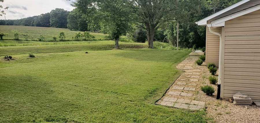 Lawn Maintenance