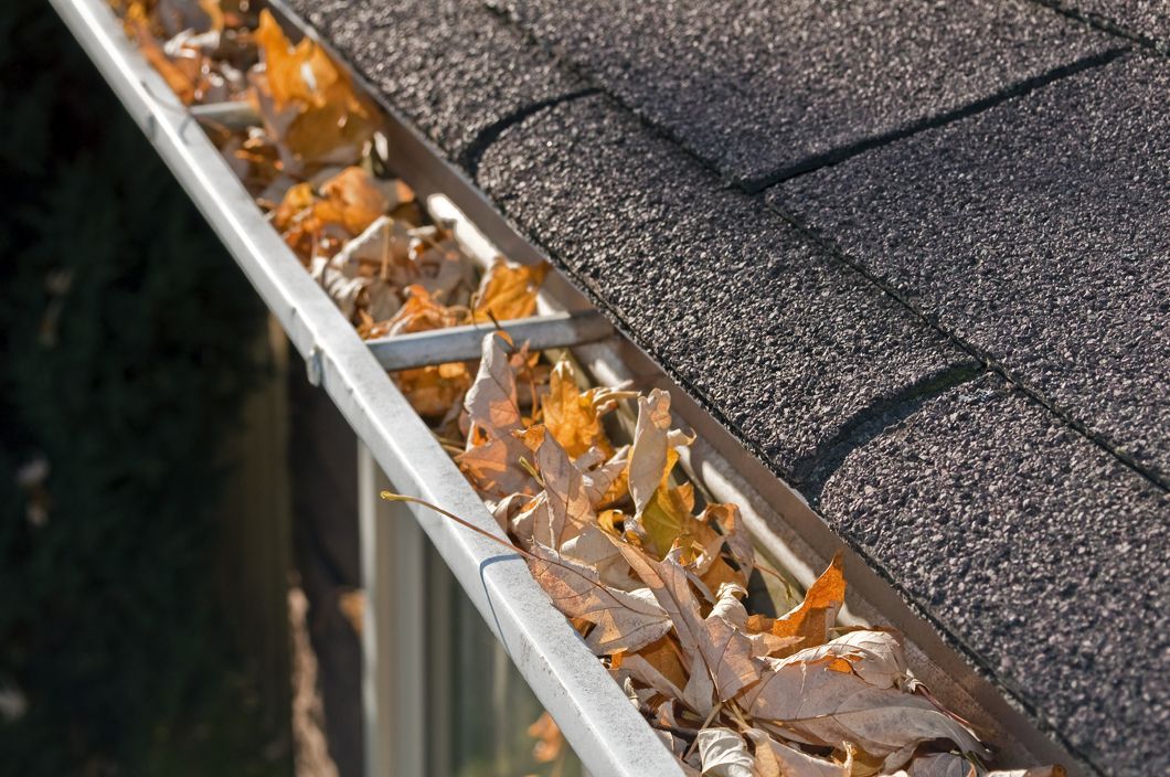 A gutter filled with leaves on a roof of a house.