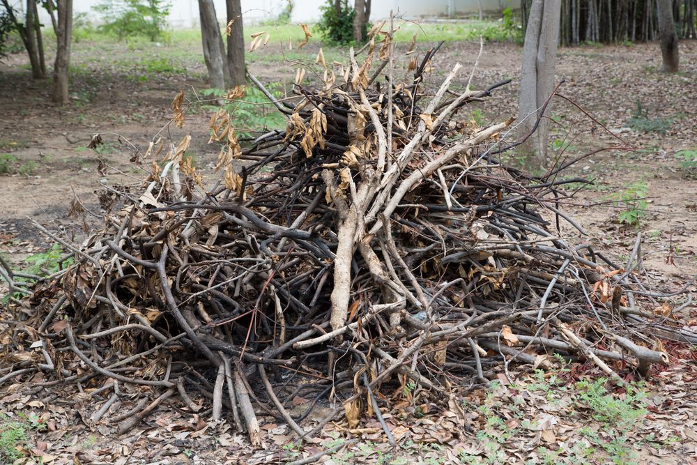 A pile of wood is sitting on the ground in the woods.