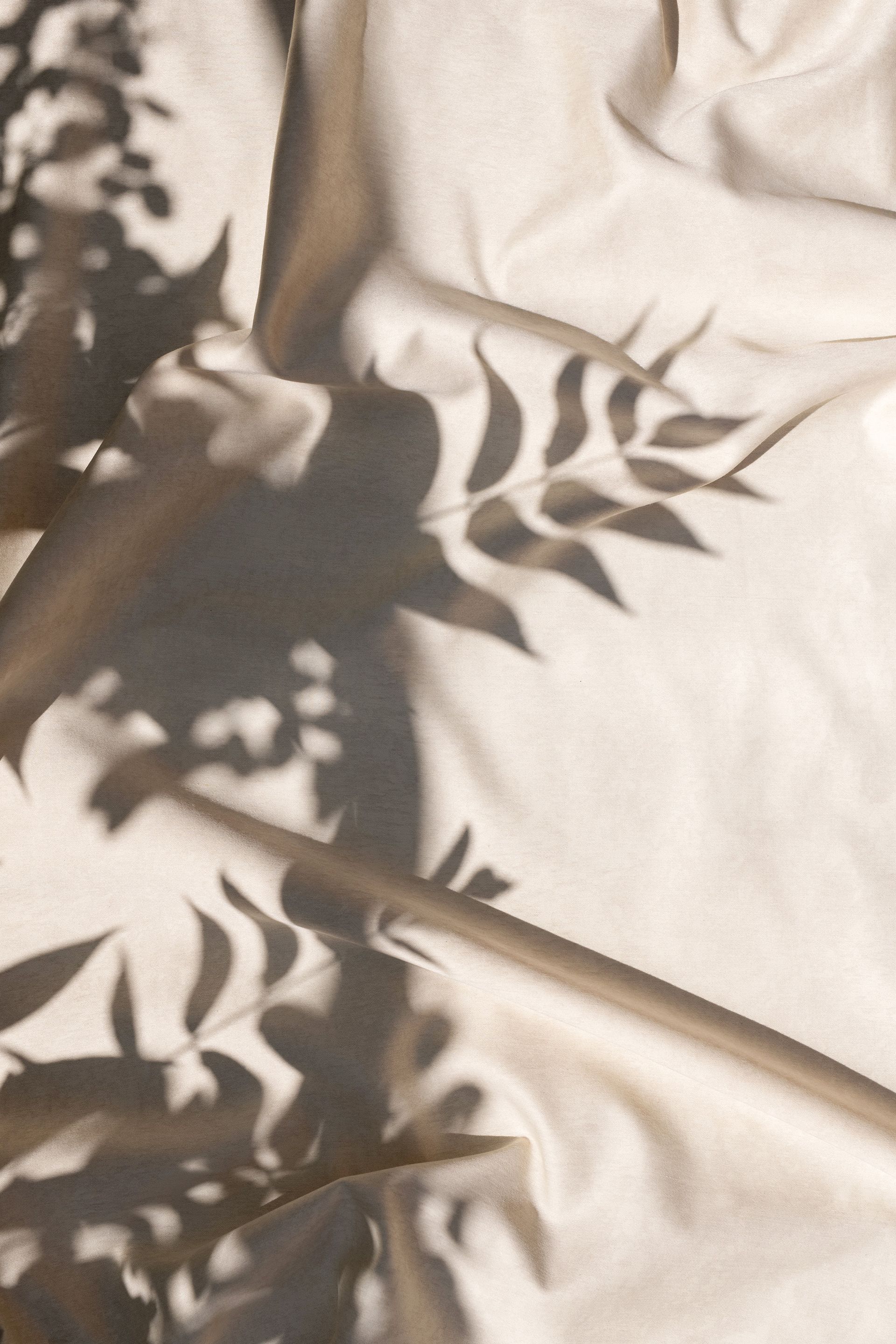 aesthetics-cool-springs