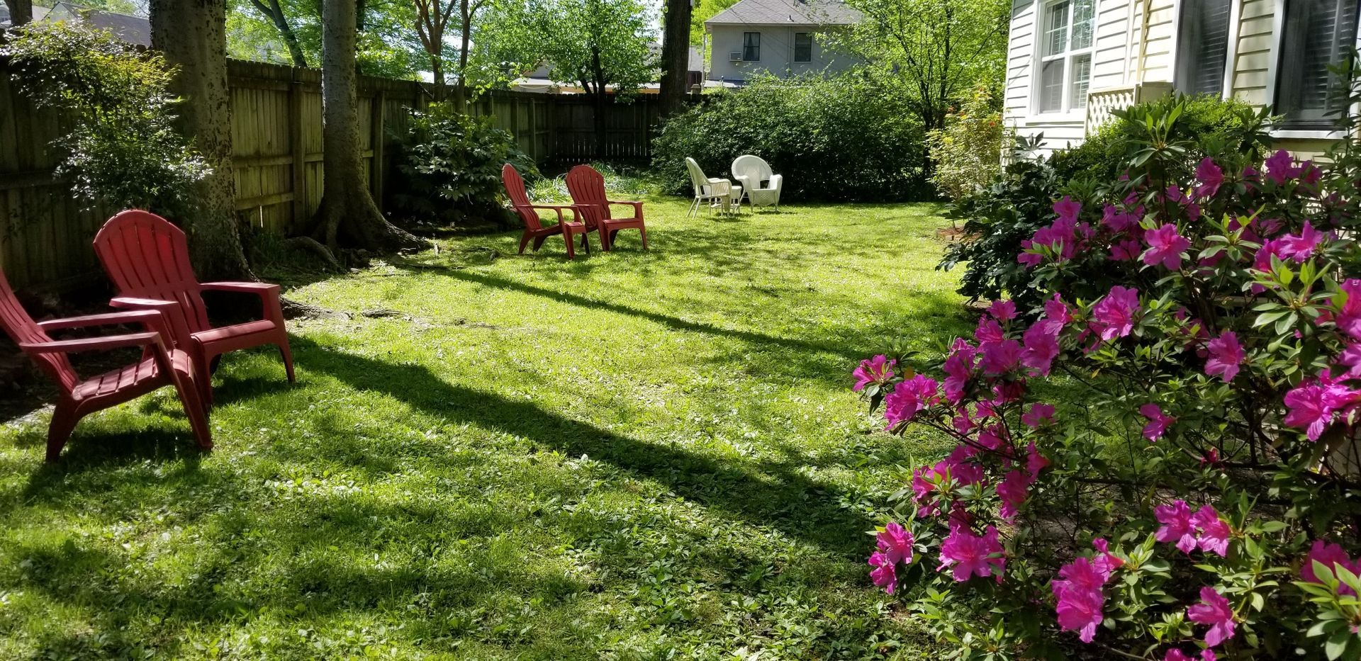A lush green yard with red chairs and pink flowers.