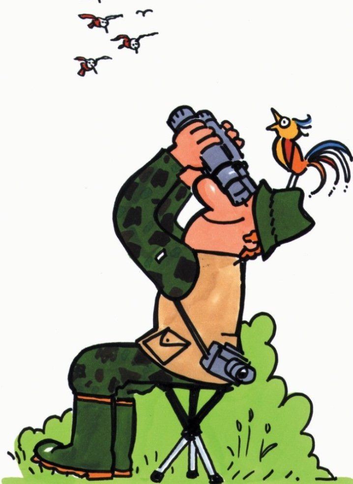 Walkstool for birdwatching