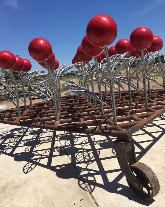 Crop Rotation | Northern California
