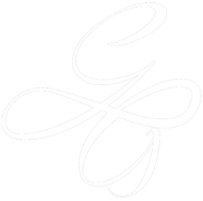 A white drawing of a flower on a white background.