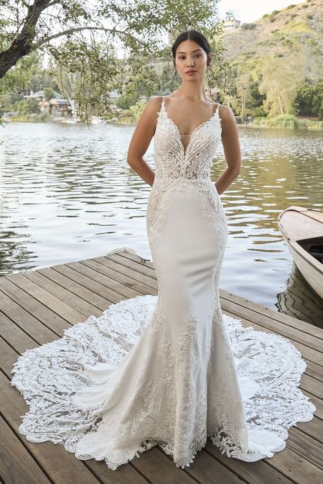 A woman in a wedding dress and veil is standing on a wooden deck.