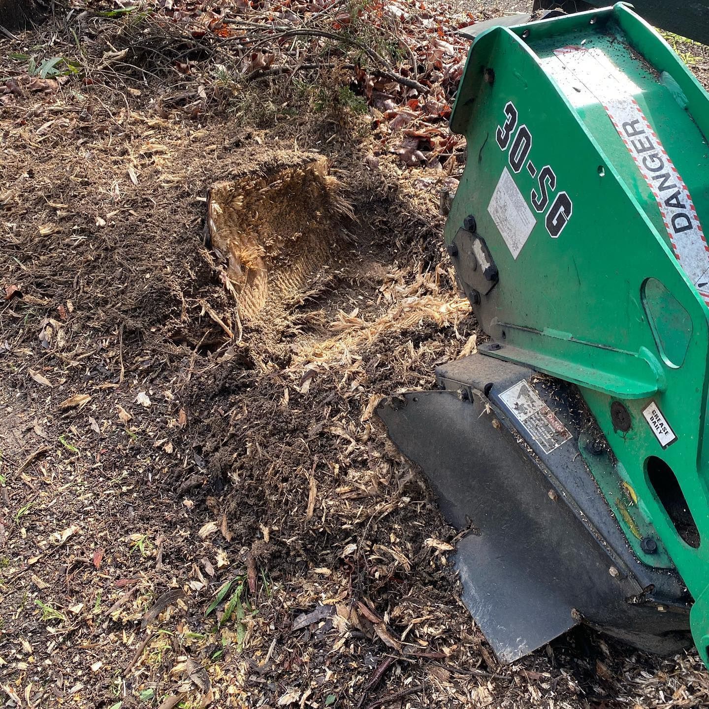 Green Stump Grinder Next to a Freshly Ground Tree Stump — All Tree Solutions In Morisset, NSW