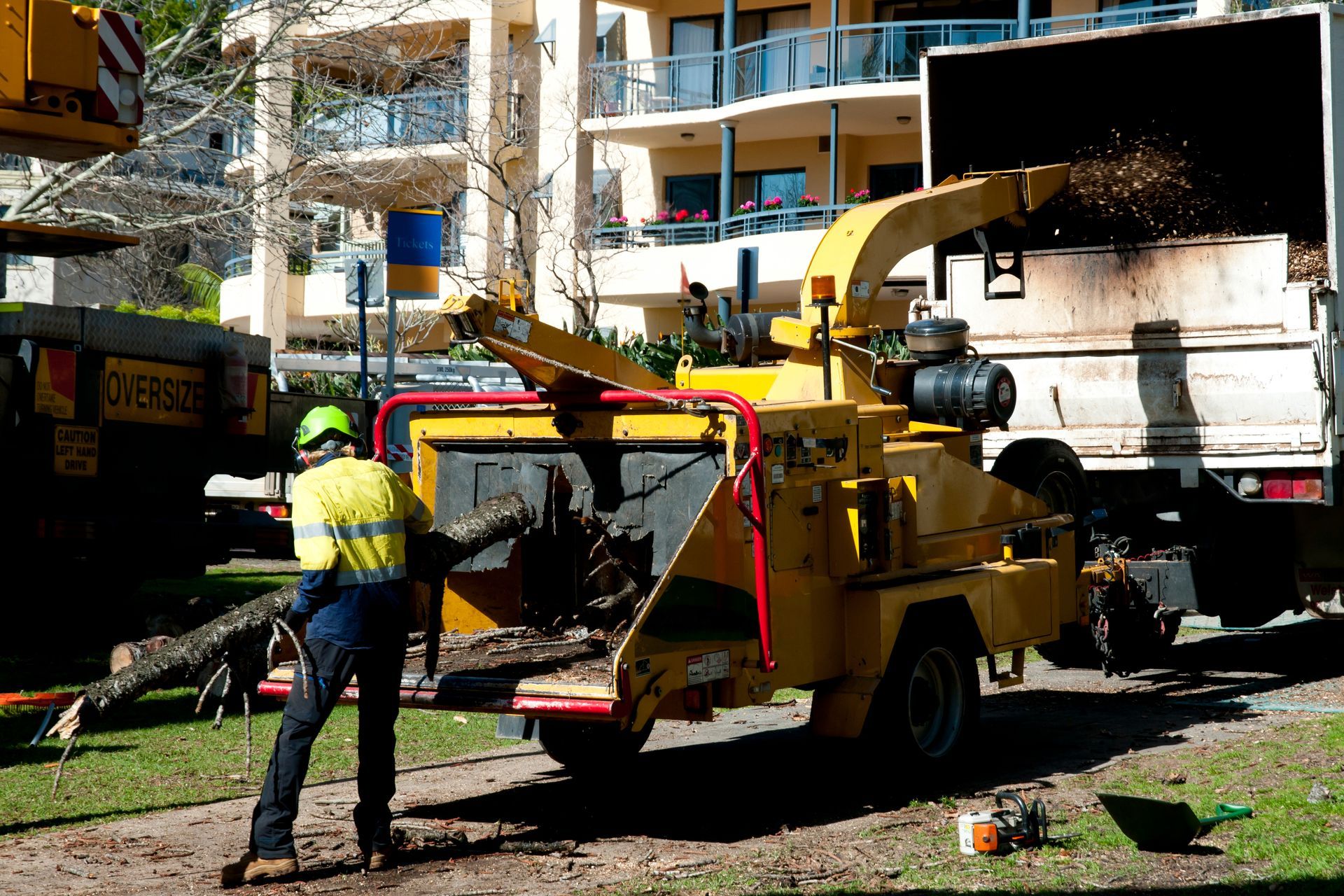 Worker Using a Wood Chipper to Process Tree Branches — All Tree Solutions In HOLGATE, NSW
