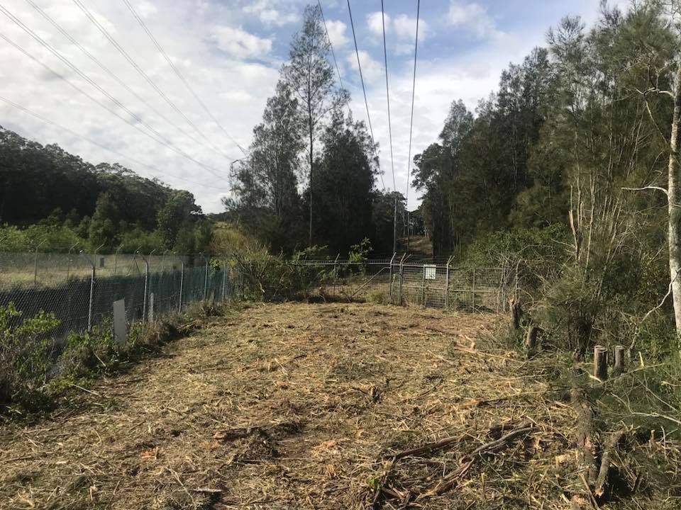 Cleared Path Under Power Lines — All Tree Solutions In Kariong, NSW