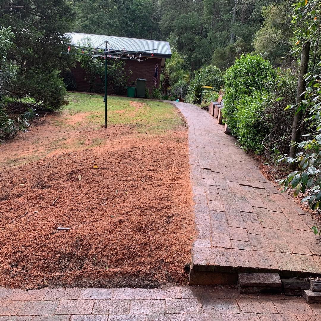 Path Leading to a Building — All Tree Solutions In Morisset, NSW