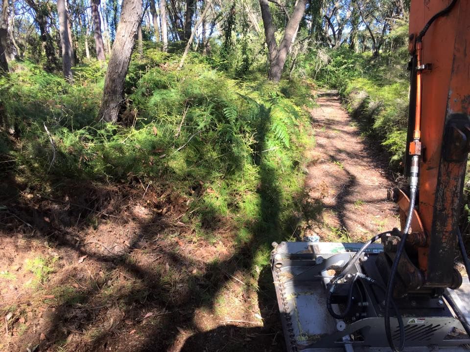 An Excavator Clearing a Wooded Trail Lined With Green Vegetation — All Tree Solutions In Mangrove Mountain, NSW