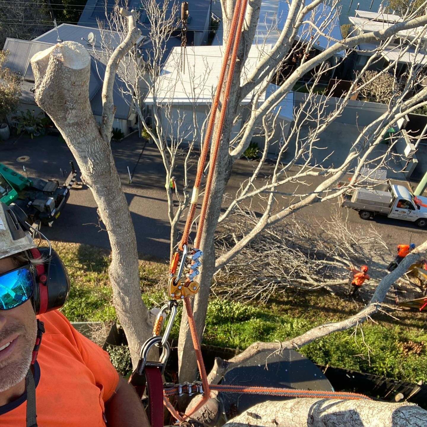 Arborist in Orange Shirt Secured With Ropes and Gear — All Tree Solutions In Mangrove Mountain, NSW
