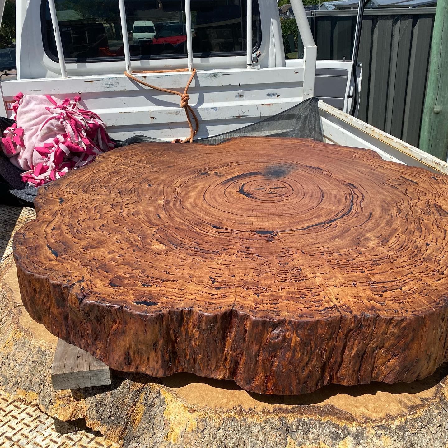 Large Circular Wooden Slab Loaded Onto a White Pickup Truck Bed — All Tree Solutions In Somersby, NSW