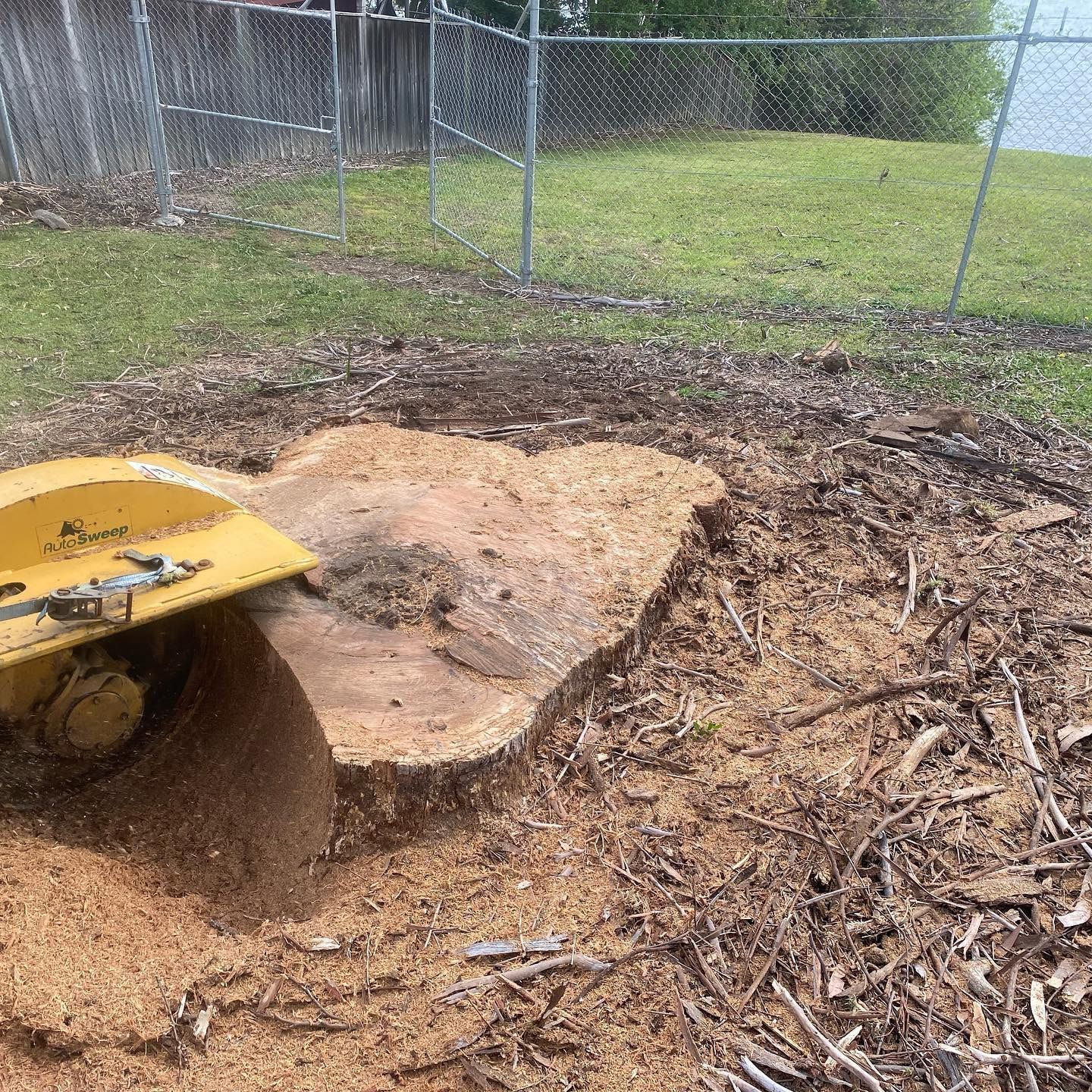 A Stump Grinding Machine in a Yard — All Tree Solutions In Morisset, NSW