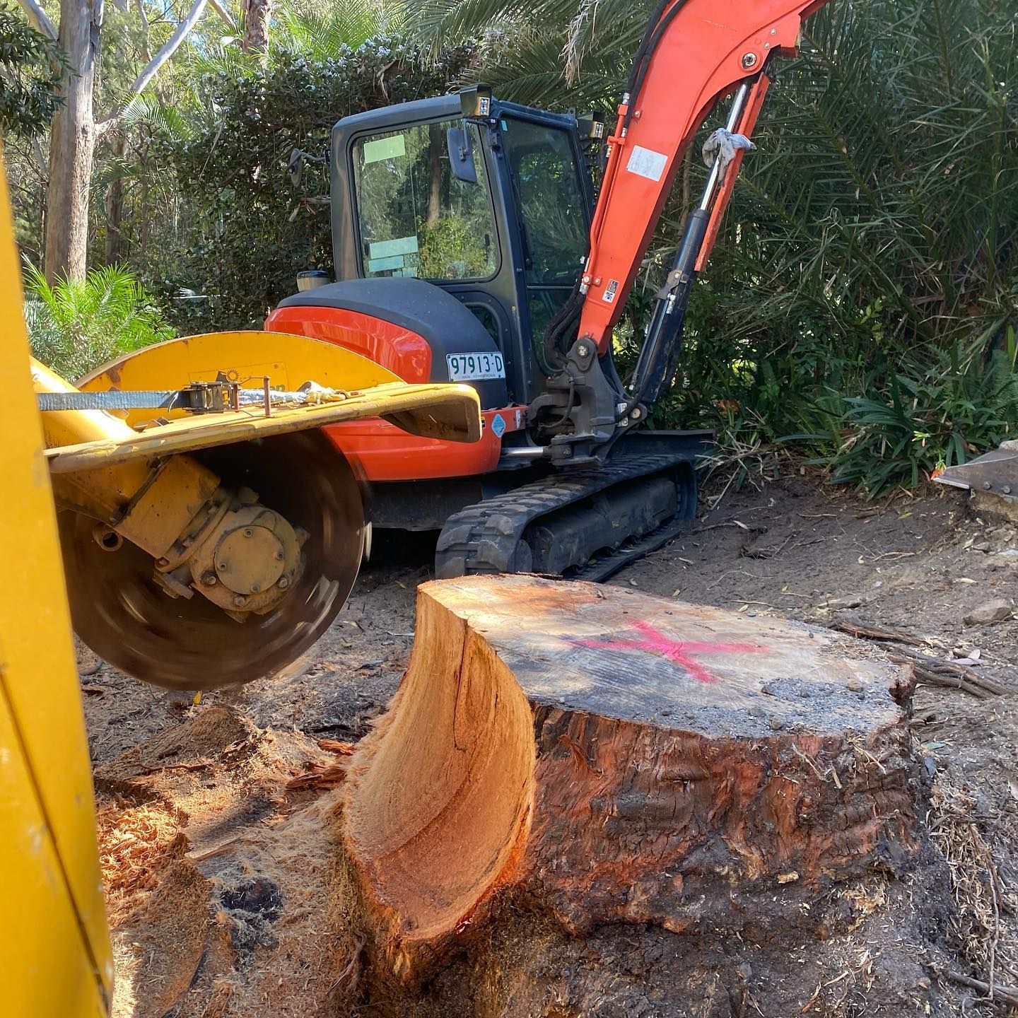 Orange Excavator With a Saw Blade Cutting a Tree Stump in a Wooded Area — All Tree Solutions In Warner Vale, NSW