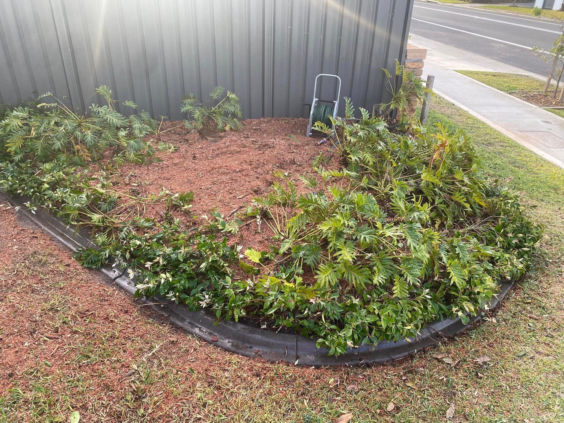 A Garden Bed With Green Plants — All Tree Solutions In HOLGATE, NSW