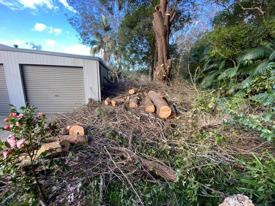 Pile of Cut Logs and Branches Next to a Garage — All Tree Solutions In Somersby, NSW