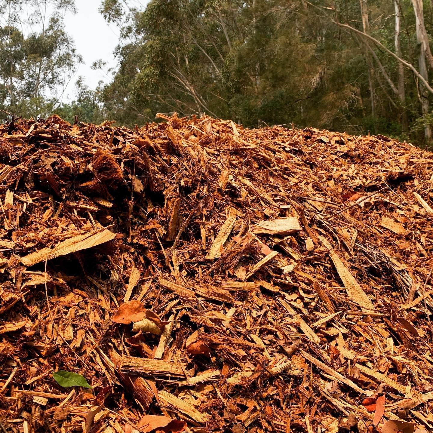 Pile of Brown Wood Chips in a Forest Setting — All Tree Solutions In Matcham, NSW