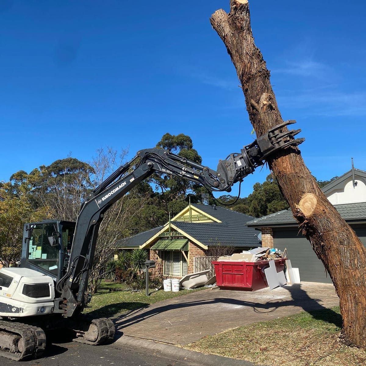 An Excavator With a Tree Shear Cutting Down a Large Tree — All Tree Solutions In HOLGATE, NSW